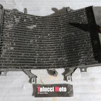Suzuki Gsx r 1000 00 01 02 radiatore acqua