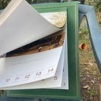Calendario artistico