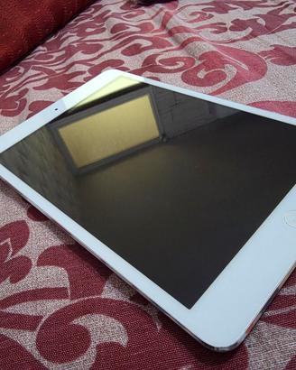 ipad mini 1serie