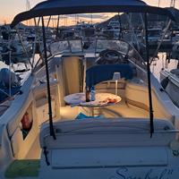 Regal242 