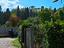 Immagine 22