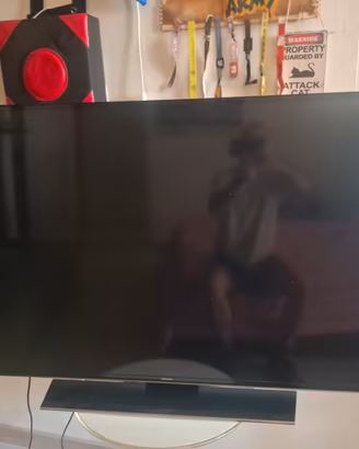 televisione