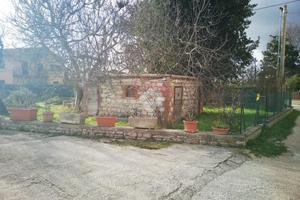 TER. AGRICOLO A GUBBIO