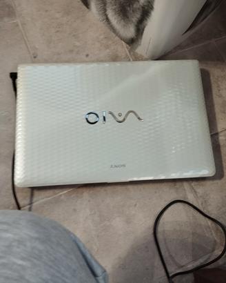 SONY VAIO