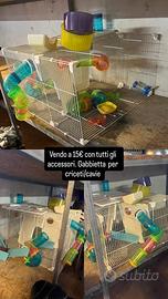 Gabbia per criceti/cavie