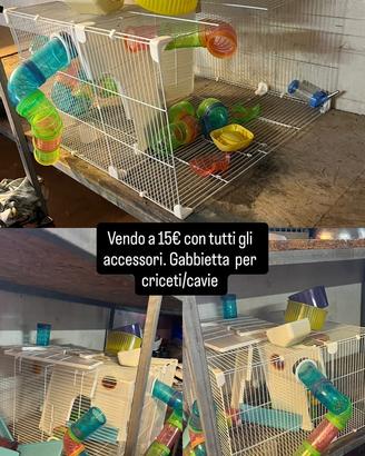 Gabbia per criceti/cavie