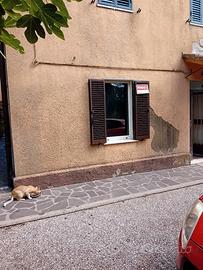 appartamento 