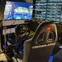 Simulatore completo Fanatec