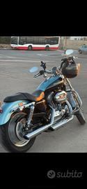 Harley Davidson XL883C