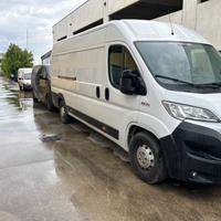 ducato maxi