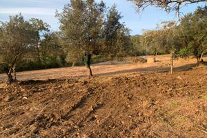 Rudere con terreno