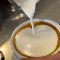 Barista