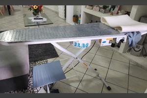 Asso da stiro professionale aspirante