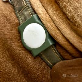 Porta AirTag per Collare per Cani