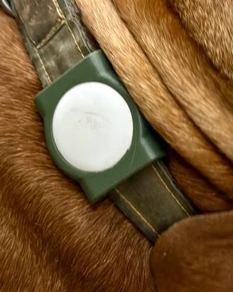 Porta AirTag per Collare per Cani