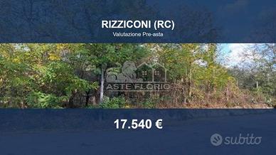 Immobile in asta di 6160 m² a Rizziconi