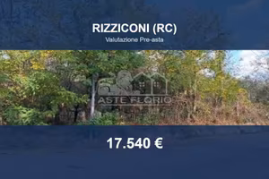 Immobile in asta di 6160 m² a Rizziconi