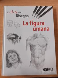 libro da disegno