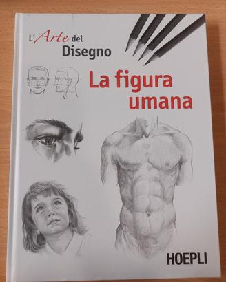 libro da disegno