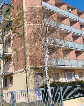 Ampio bilocale due passi dalla spiaggia