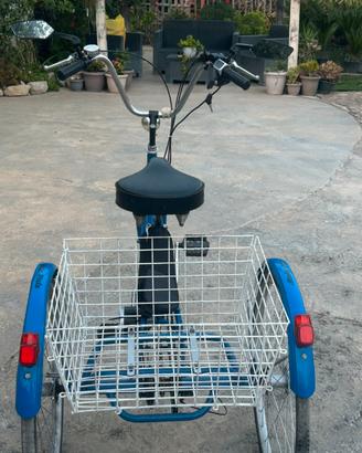 Tricicli elettrico