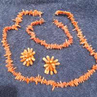 ti piace  il corallo?