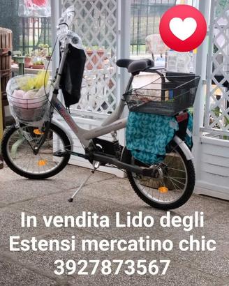 bicicletta pieghevole 