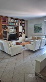Divani Minotti e poltrone pelle