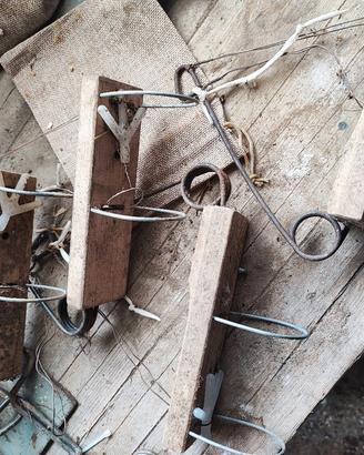 Trappole per talpe