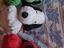 Immagine 1