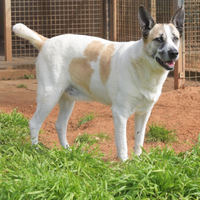 Omero aspetta una semplice famiglia