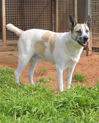 Omero aspetta una semplice famiglia