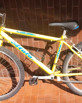 MTB ATALA TROPHY 21 RAPPORTI RUOTE 26