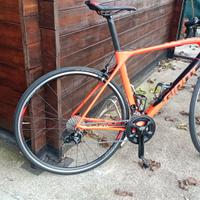 bdc giant tcr advanced M/L