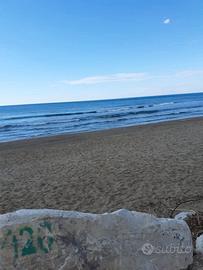 San Vincenzo direttamente in spiaggia
