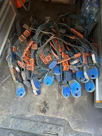 Trasponder DeLaval a 5 cifre usati come nella foto