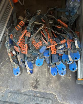 Trasponder DeLaval a 5 cifre usati come nella foto