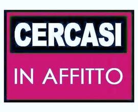 CERC0 appartamento o soluzione abitativa