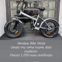 Bike elettrica Vitale