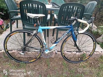 Bicicletta da corsa Wilier Montirolo Triestina 