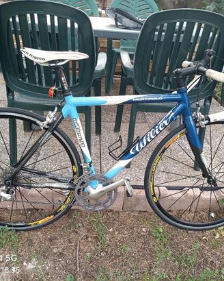 Bicicletta da corsa Wilier Montirolo Triestina 