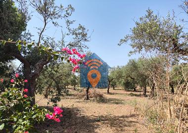 Castelvetrano Terreno In Zona Giallonghi