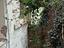 Immagine 28