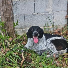 Agnese dolce cagnolina