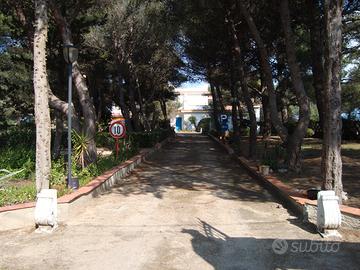 Residence Nettuno + Terreno Edificatorio