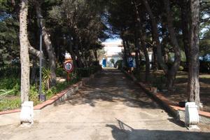 Residence Nettuno + Terreno Edificatorio