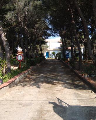 Residence Nettuno + Terreno Edificatorio