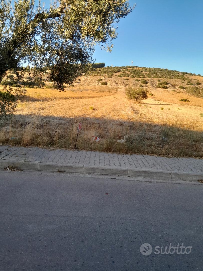 Terreni agricoli - Vista 5