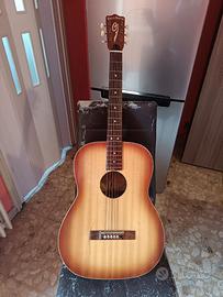 Chitarra Acustica per principianti 6 corde