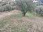 Immagine 10